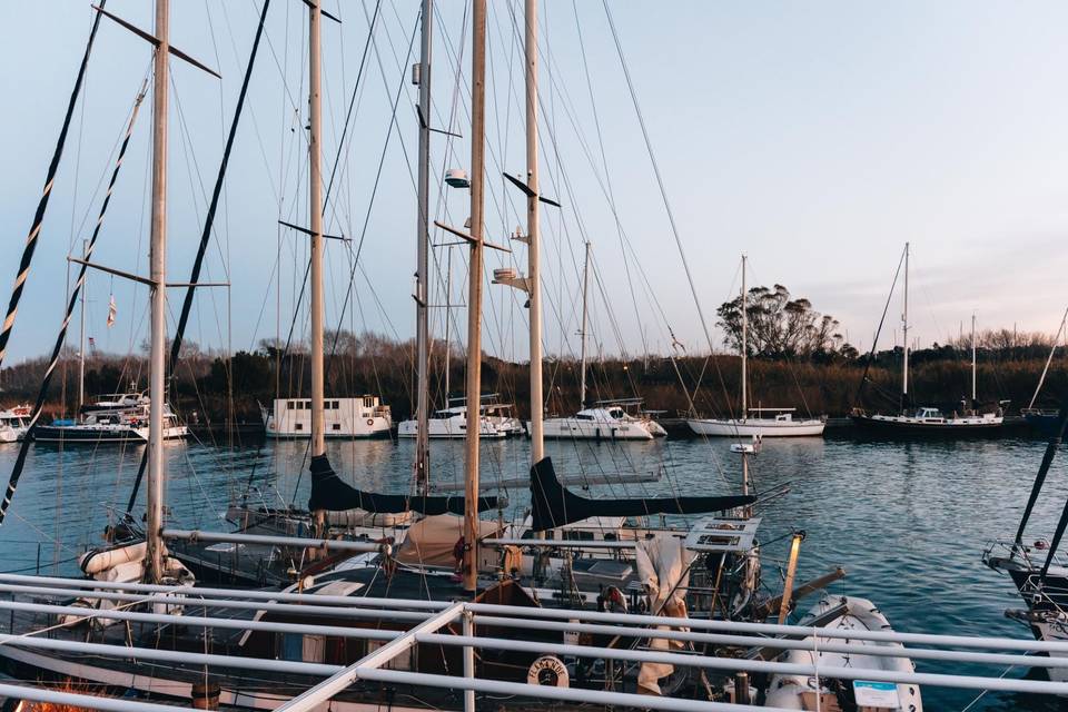 trattoria di mare a fiumicino per famiglie